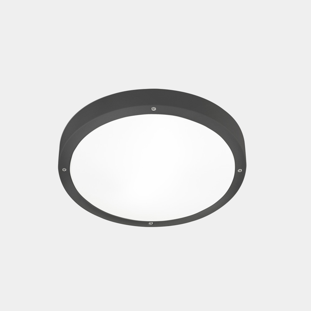 Plafón IP66 Basic ø260mm...