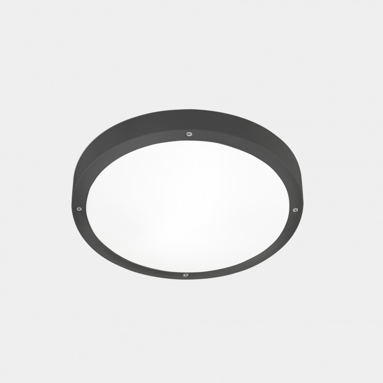 Plafón IP66 Basic ø260mm E27 15W Gris...