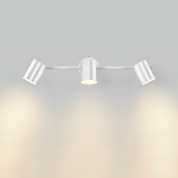 Artic Triplex