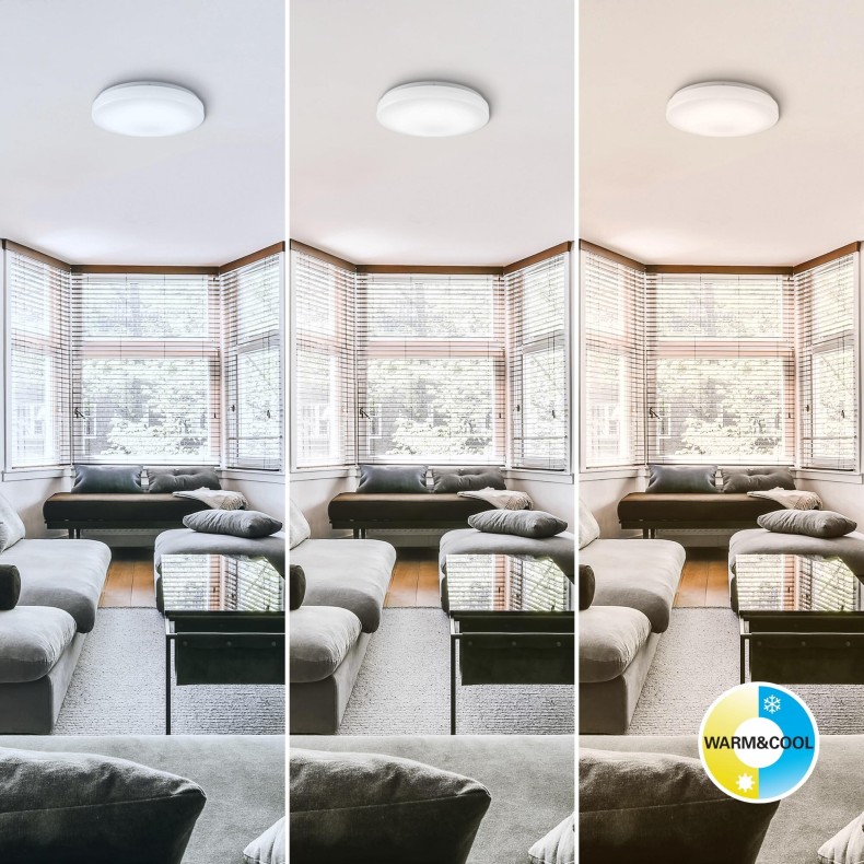 Olra Smart LED Ceiling Light
