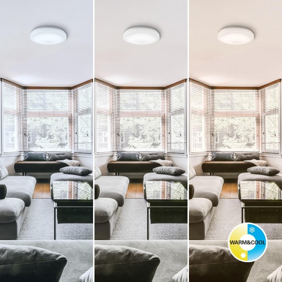 Olra Smart LED Ceiling Light