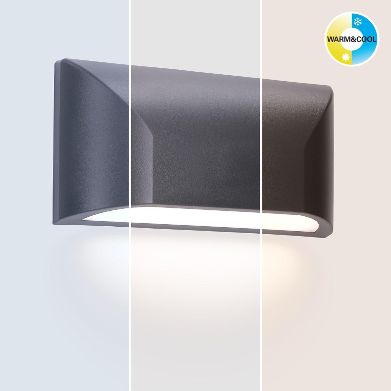 Dual Smart RGB Outdoor Wall Lamp