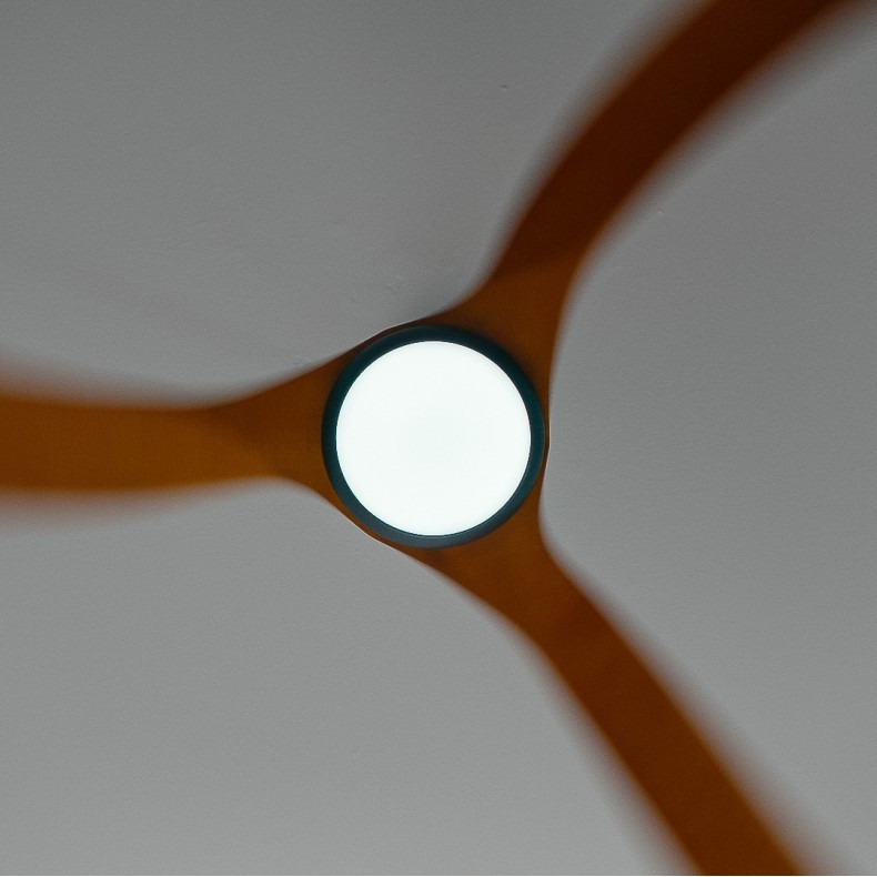Ventilador de techo con luz Bosc