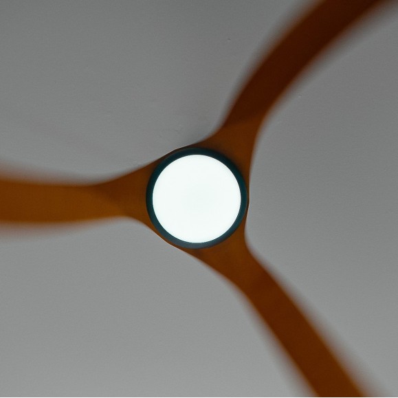 Ventilador de techo con luz Bosc