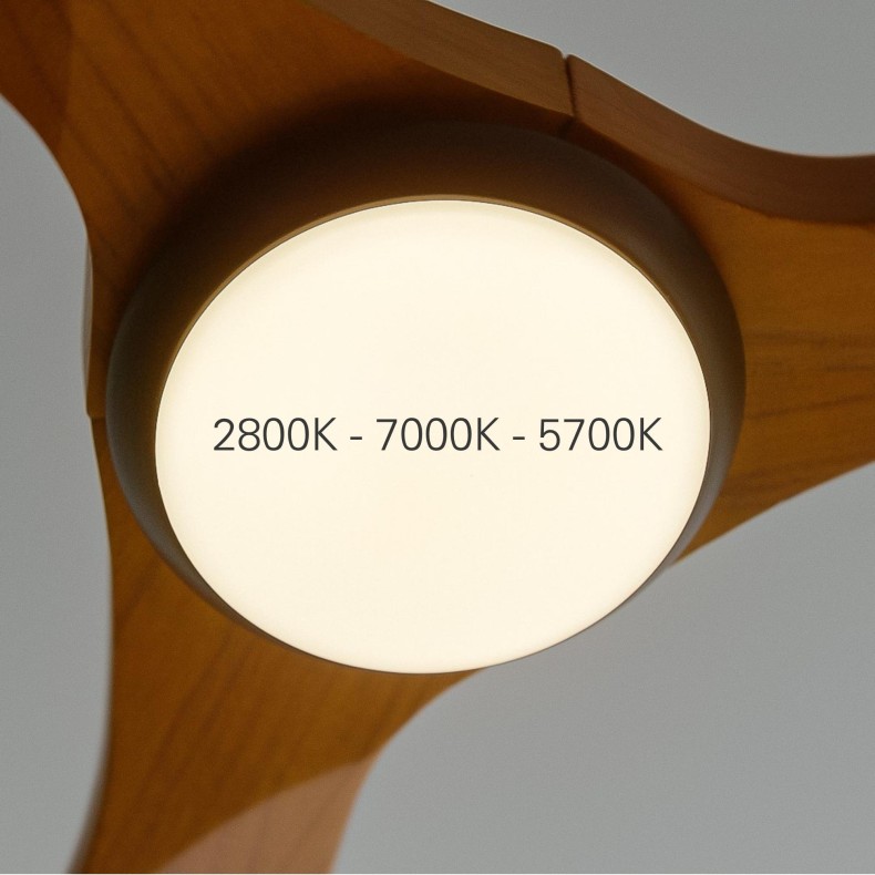 Ventilador de techo con luz Bosc