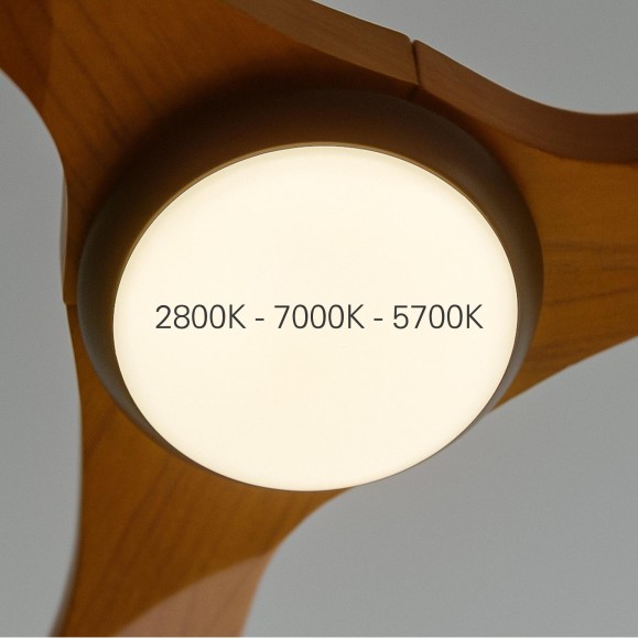 Ventilador de techo con luz Bosc