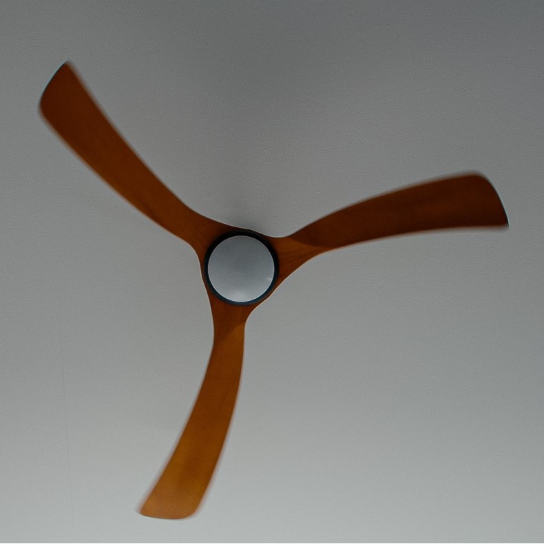 Ventilador de techo con luz Bosc