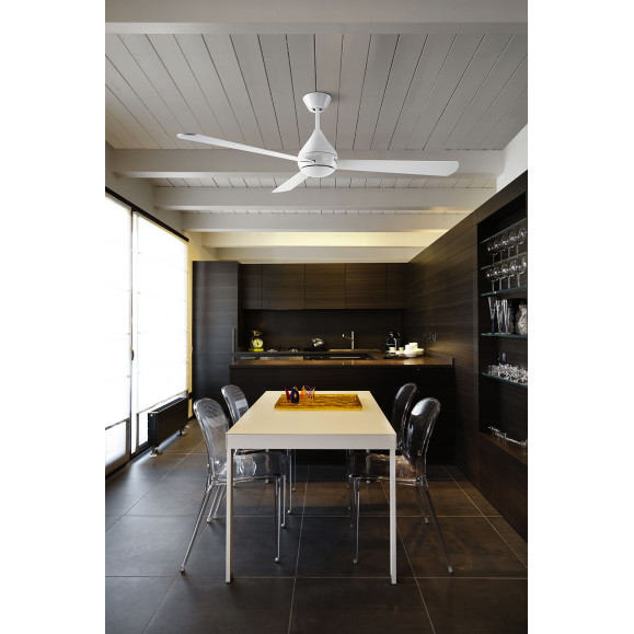 Tupai Ceiling Fan