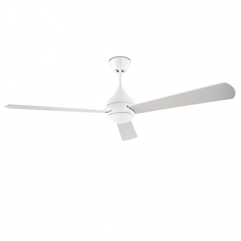 Tupai Ceiling Fan