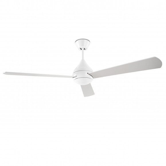Tupai Ceiling Fan