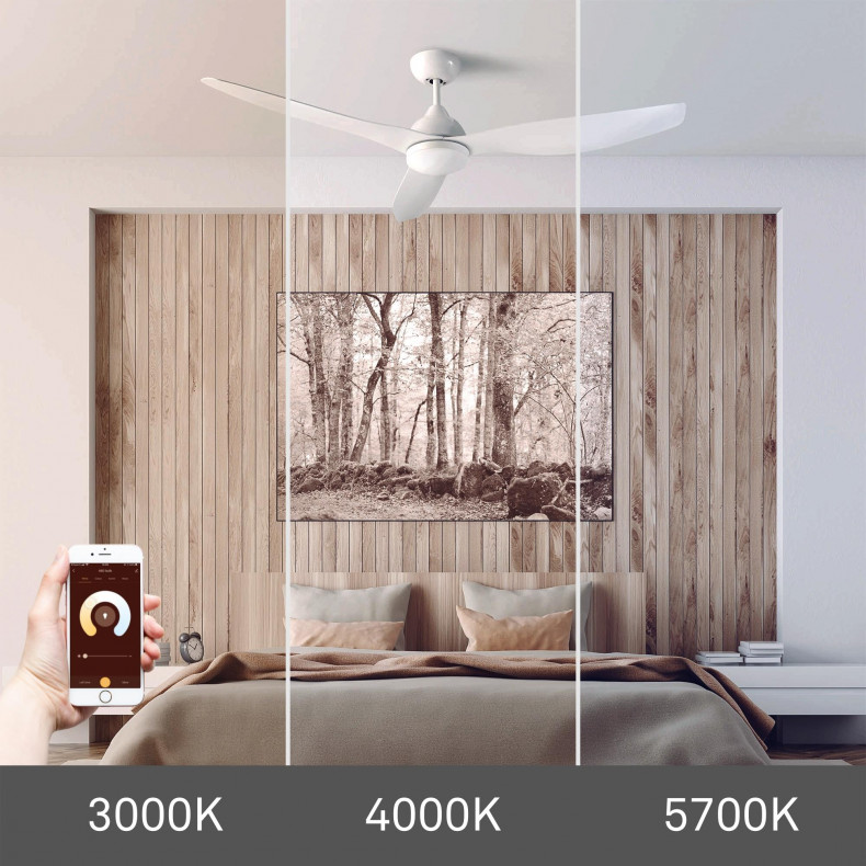 Ventilador de techo Nepal Smart