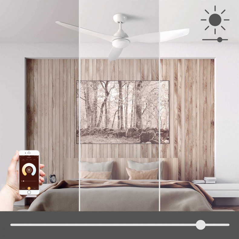 Ventilador de techo Nepal Smart