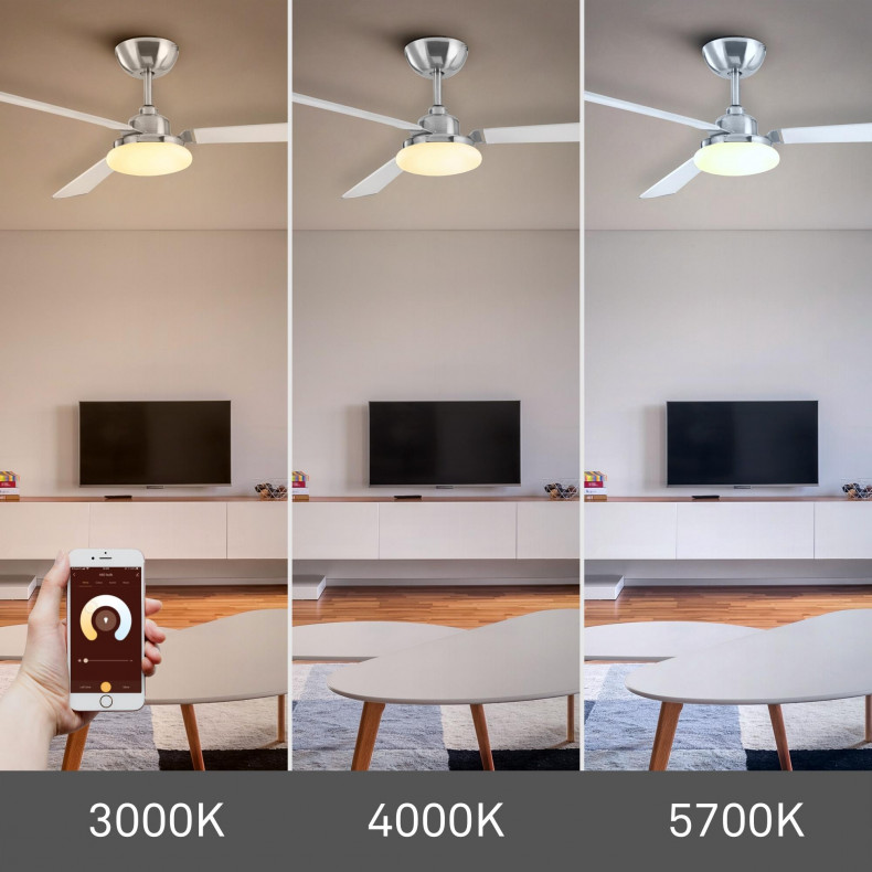 Ventilador de techo Calima Smart