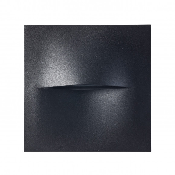 Hide Square Wall Outdoor Light