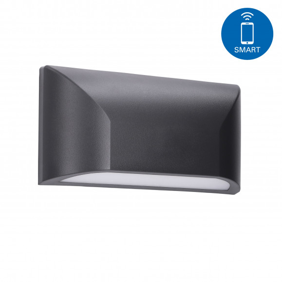 Dual Smart RGB Outdoor Wall Lamp