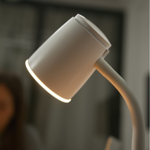 Tender LED Desk Lamp