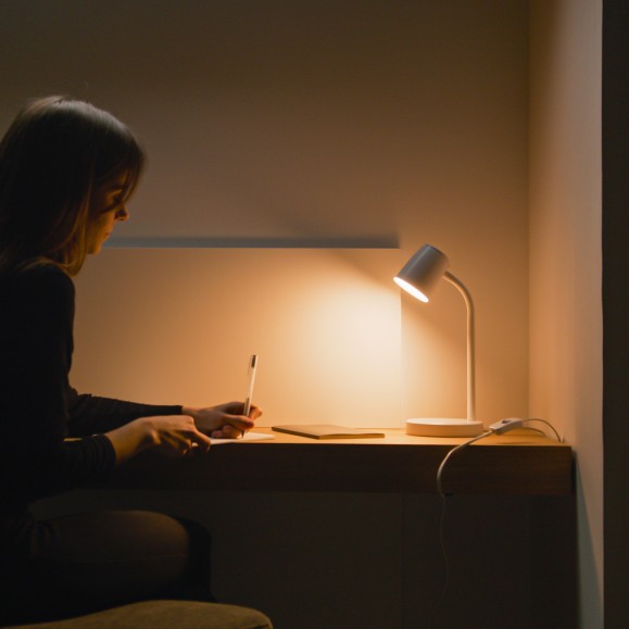 Tender LED Desk Lamp