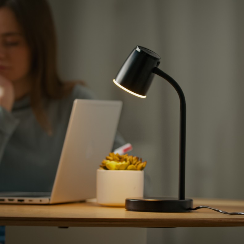 Tender LED Desk Lamp