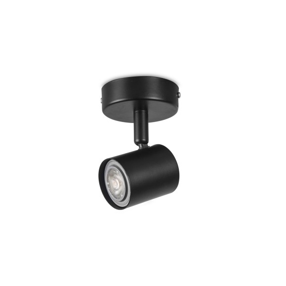 Keeper Ceiling Light 1 Spotlight