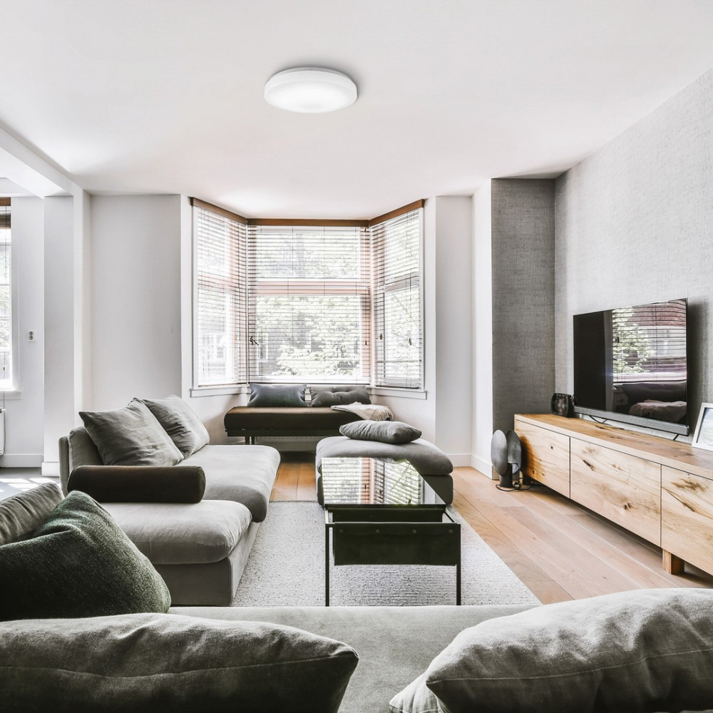 Olra Smart LED Ceiling Light 2