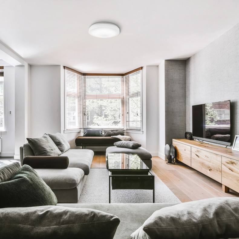 Olra Smart LED Ceiling Light