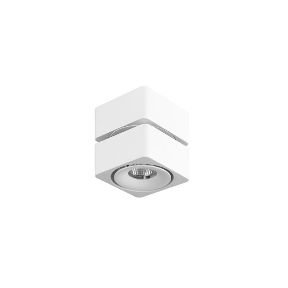 Plafón de Techo LED Fox Surface