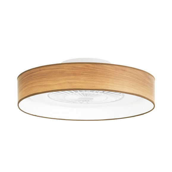 Ventilador de techo con luz 60 cm Autan