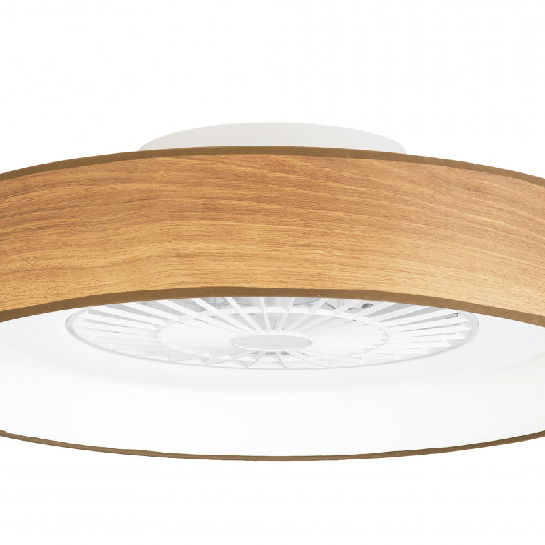 Ventilador de techo con luz 60 cm Autan