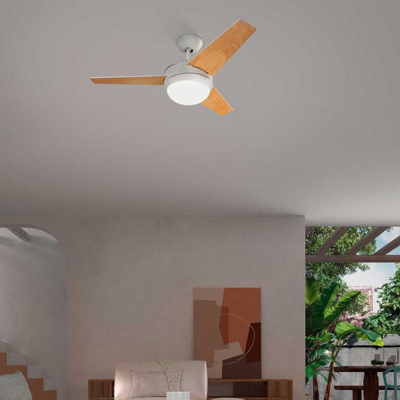 Ventilador de techo sin luz Windy