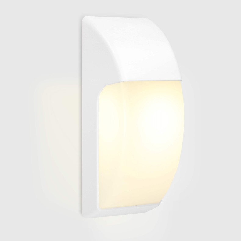 Area Outdoor Wall Lamp