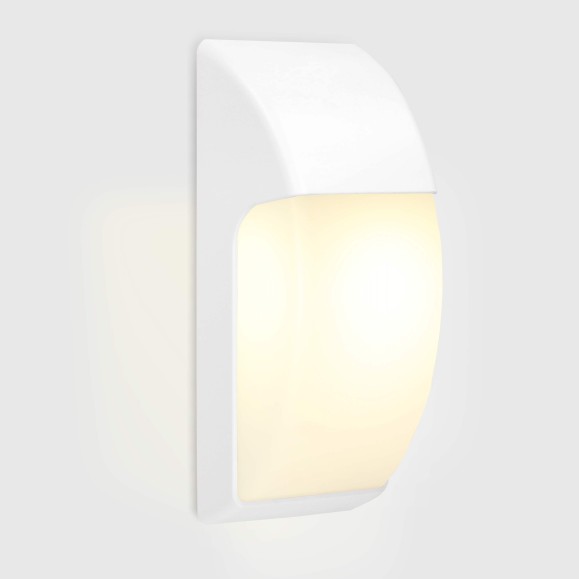 Area Outdoor Wall Lamp