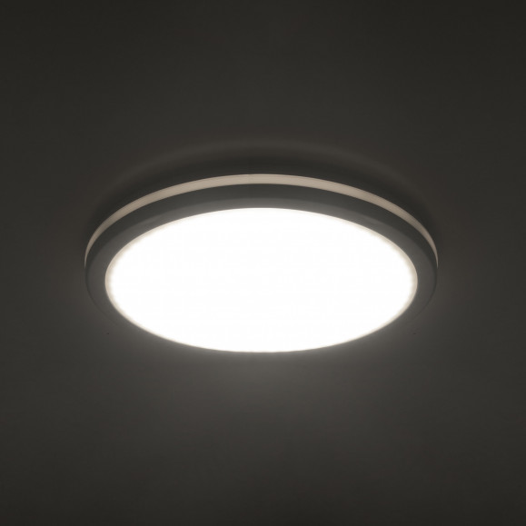 Plafonnier IP54 CARPE LED 23.1 SW 3000-4000-6000K BLANC 3360lm