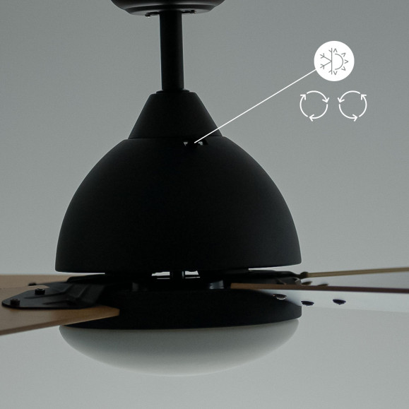 VENTILATEUR IP20 BORNEO E27 BOIS DE HÊTRE WENGUE MARRON
