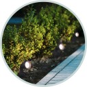 Proyectores de jardín